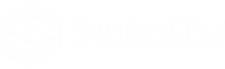 Radysa Anugerah Sinergi